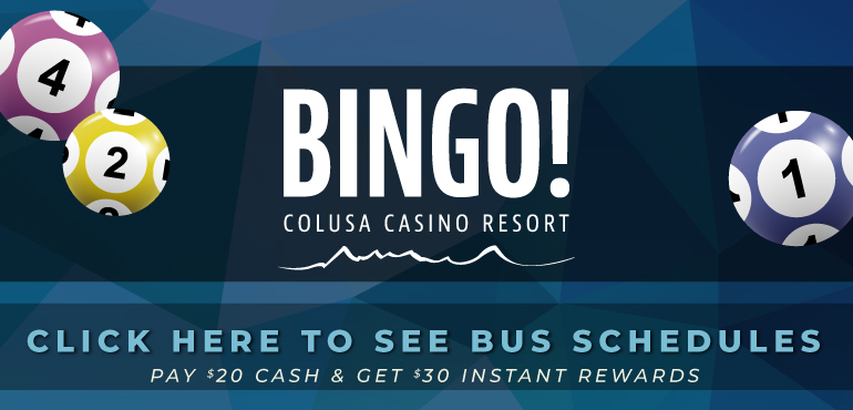 Bingo_Bus-Schedules_770x370