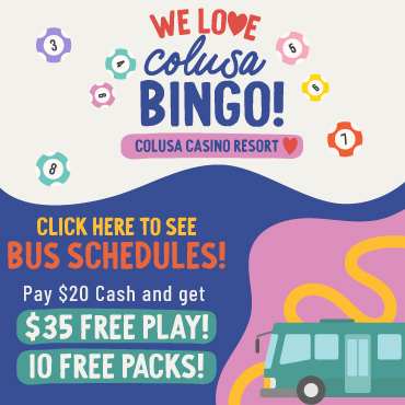 BingoBus_370x370
